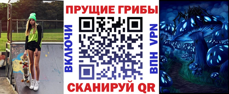 цена   Камбарка  Псилоцибиновые грибы GOLDEN TEACHER 