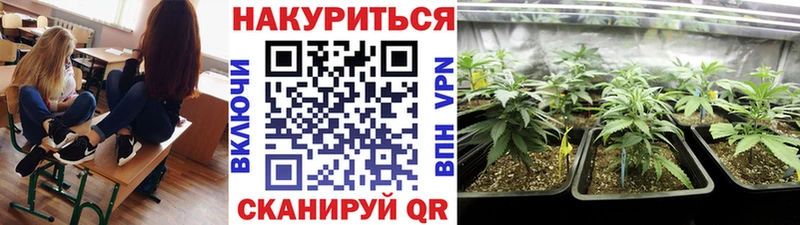 сколько стоит  МЕГА маркетплейс  Бошки марихуана планчик  Камбарка 